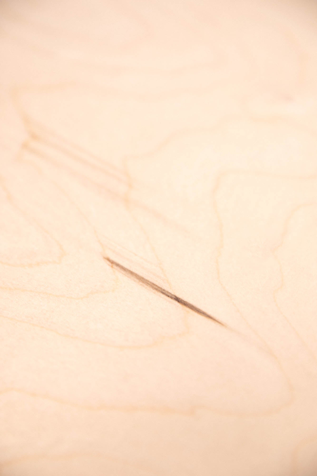 Table basse SEQUOIA bois naturel imparfaite