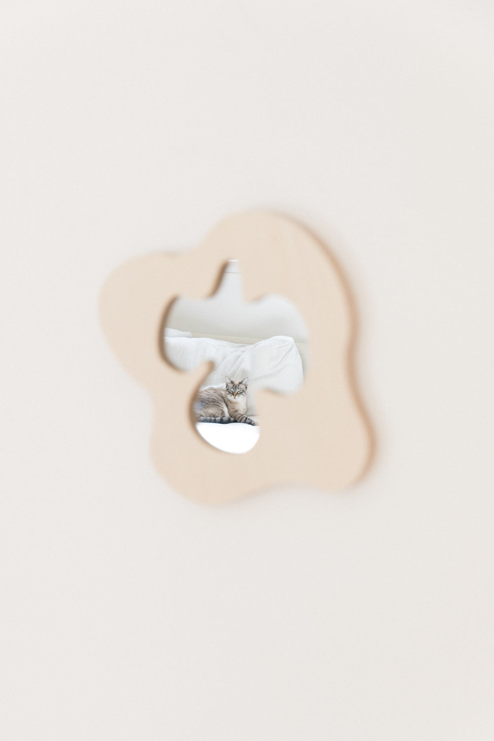 Miroir asymétrique PENSEE