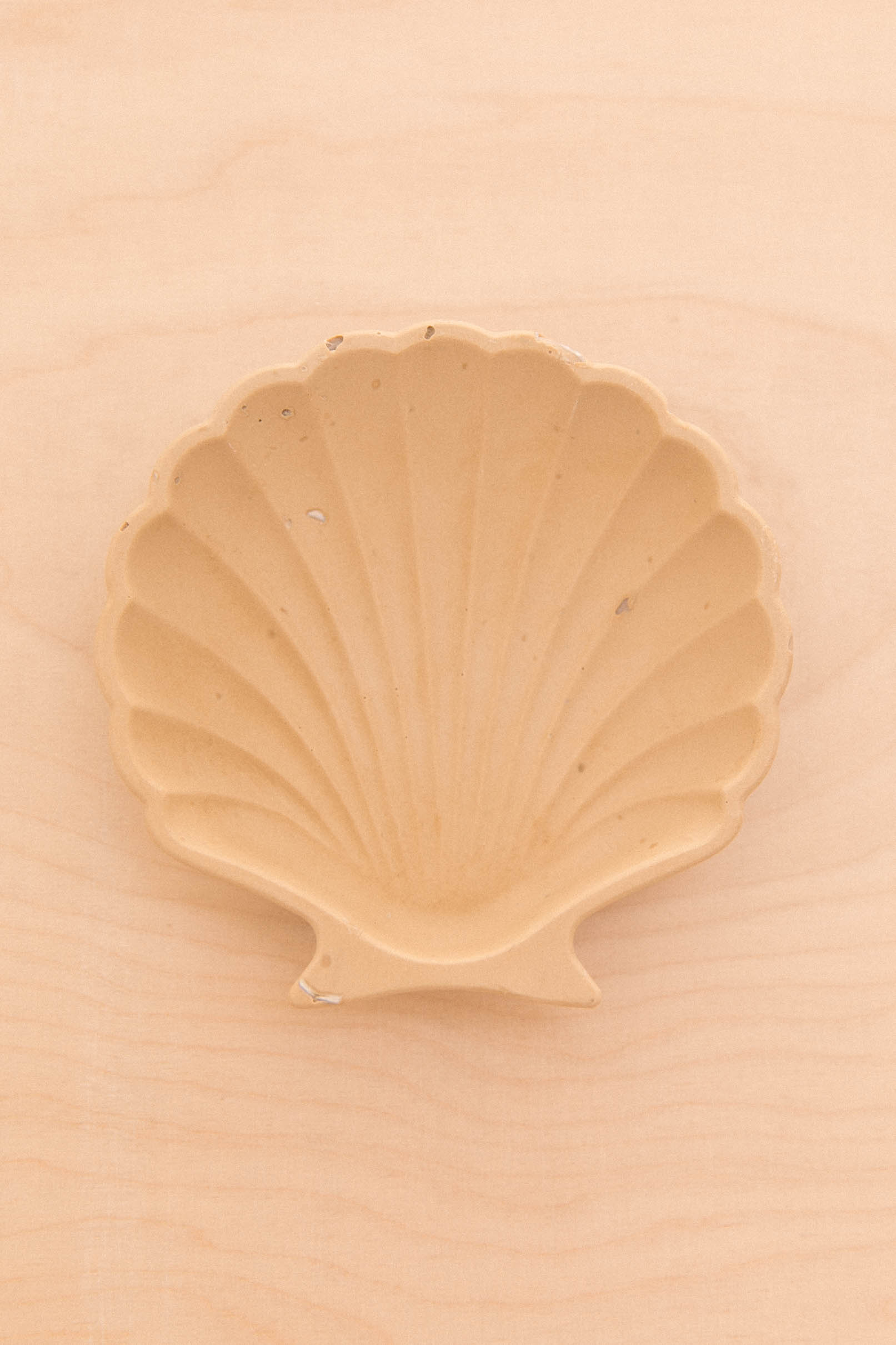 Porte savon ou vide poche en jesmonite forme coquillage imparfait